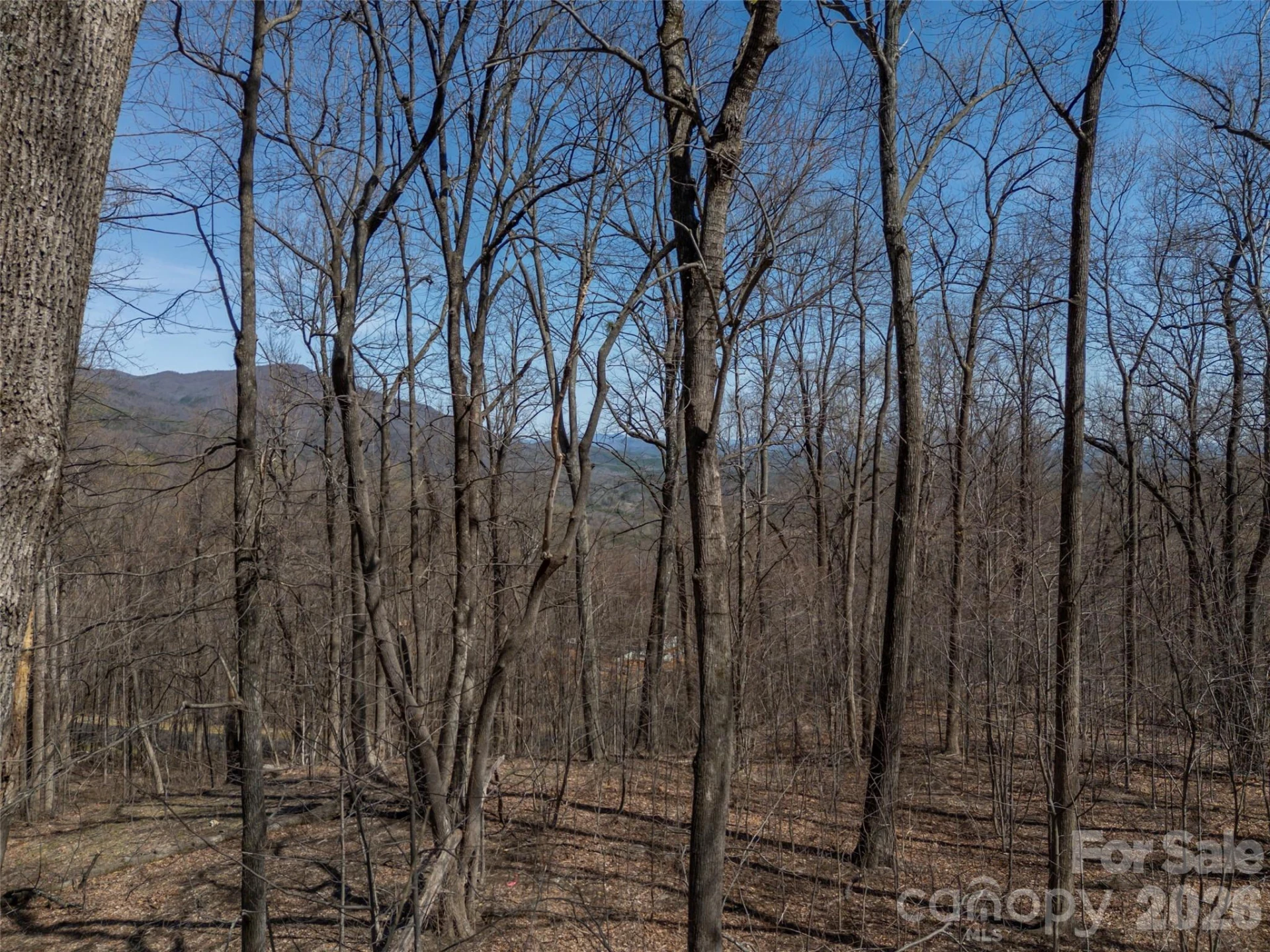 Lot 2130 Weaverly Lane - Photo 14