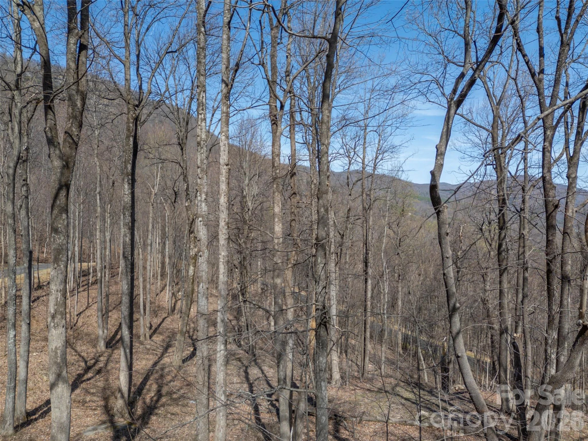 Lot 2130 Weaverly Lane - Photo 16