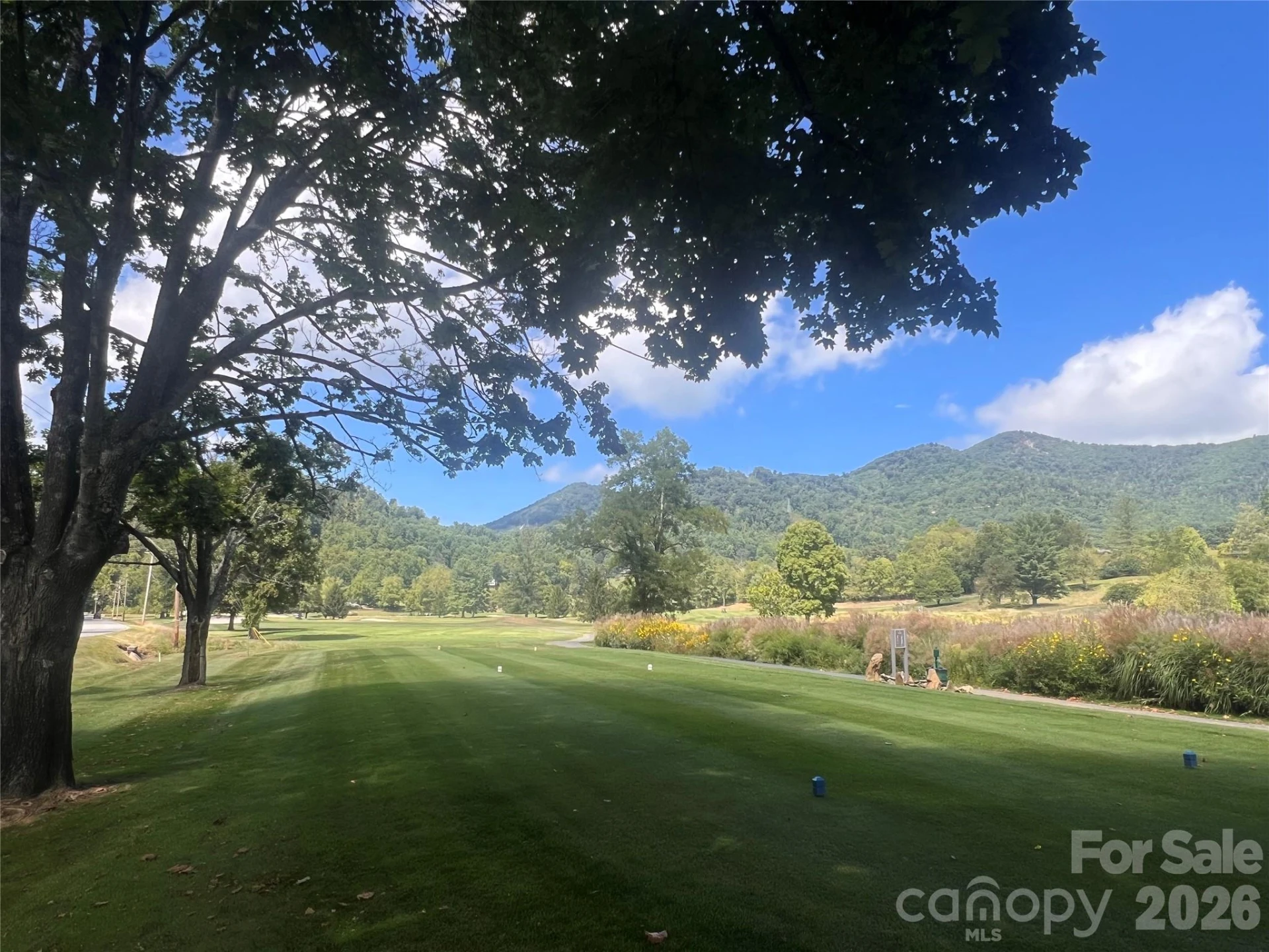 51 Bear Tree Cove - Photo 16
