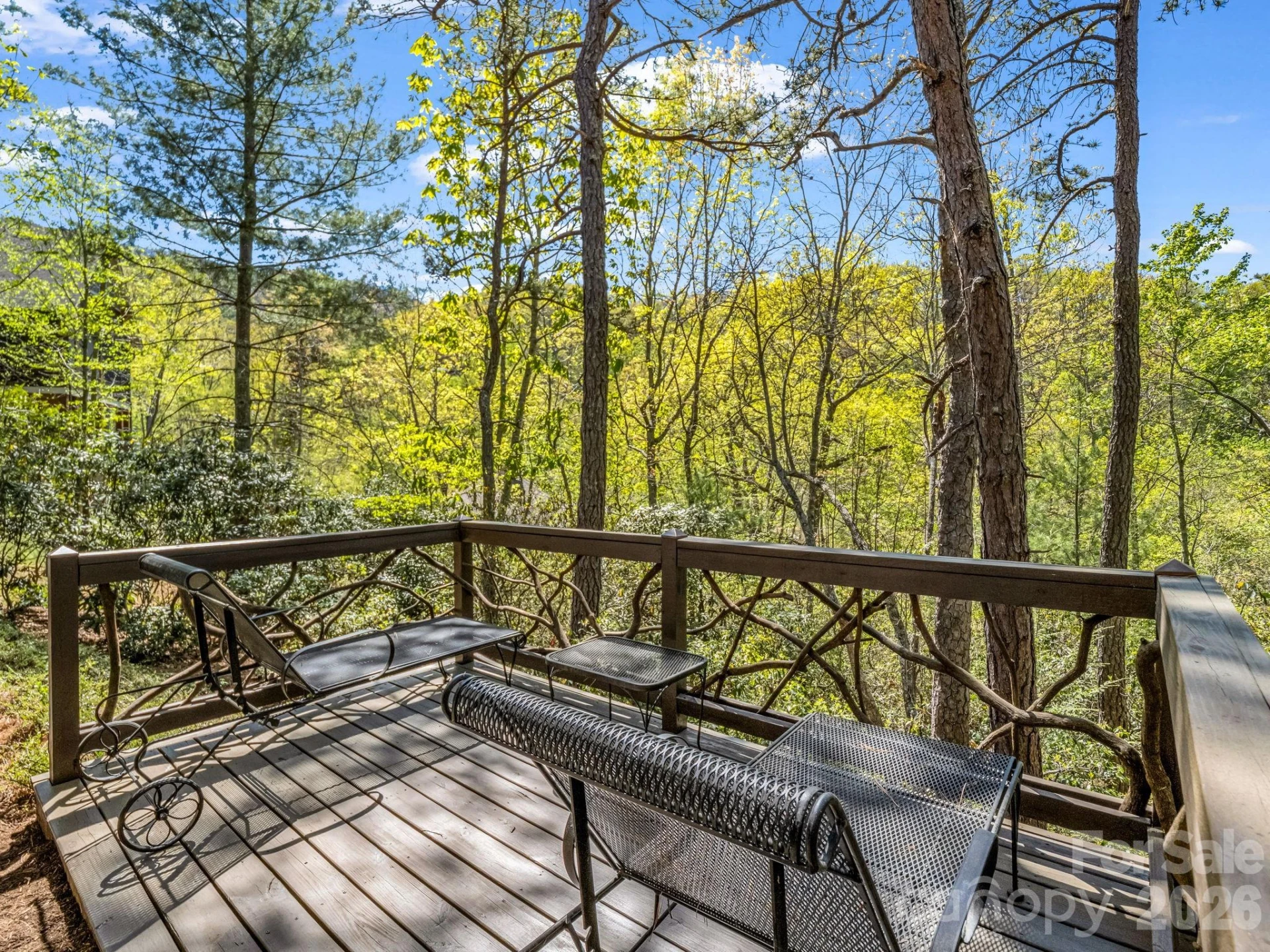 16 Panther Gap Road - Photo 42