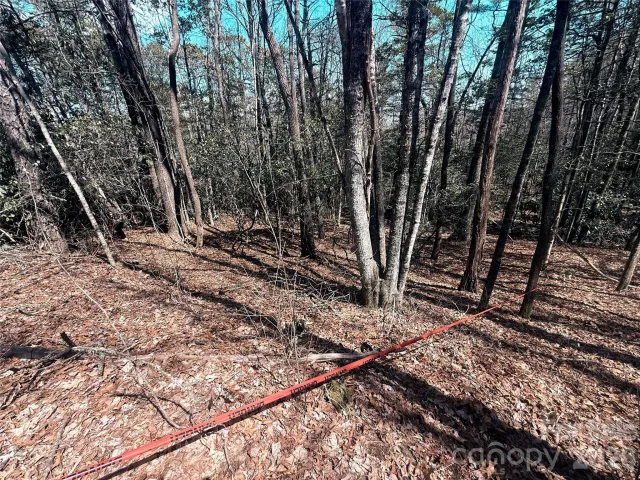 TBD Minerva Lane, Sapphire, NC, 28774
