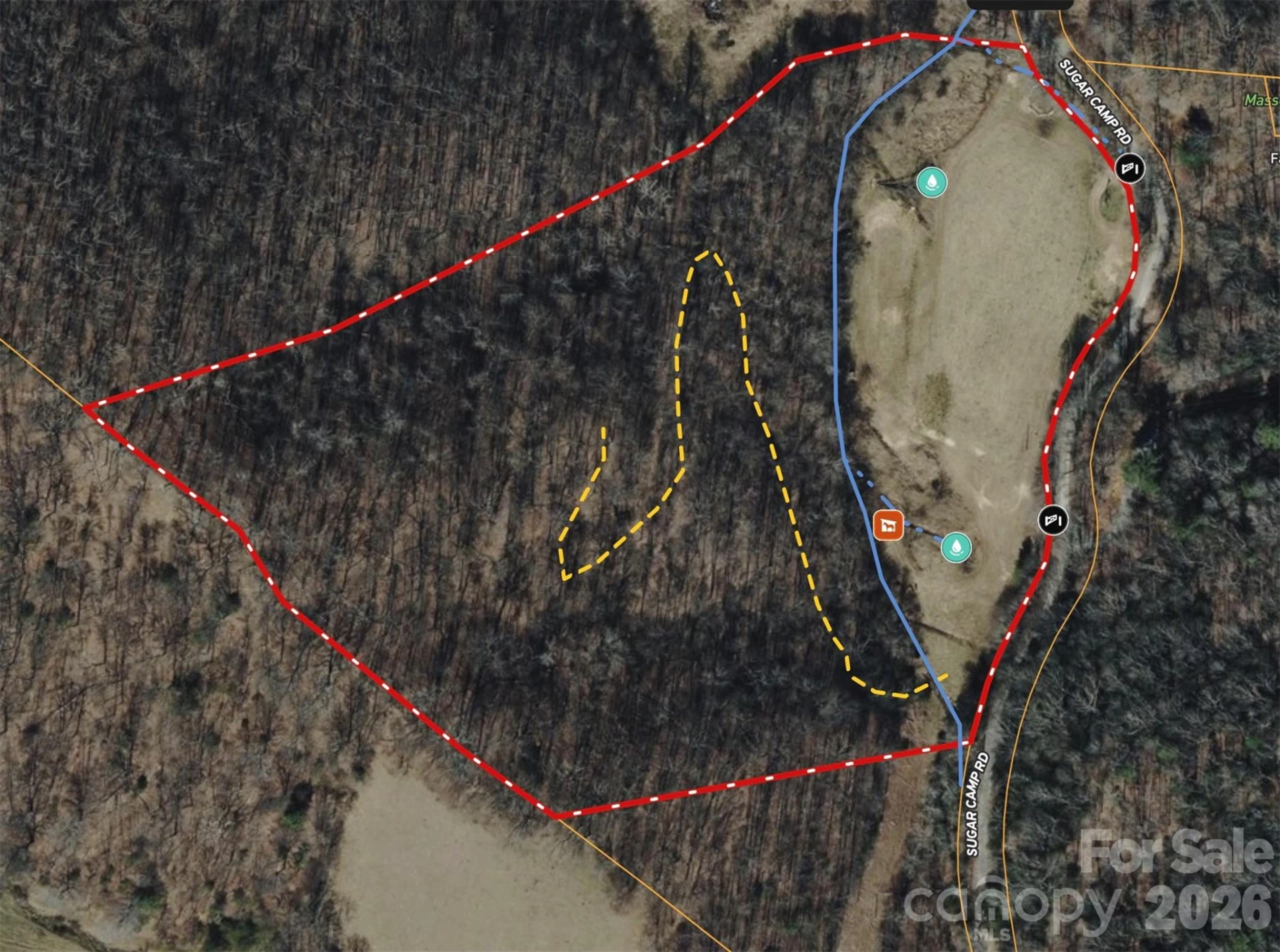 TBD Sugar Camp Road - Photo 2