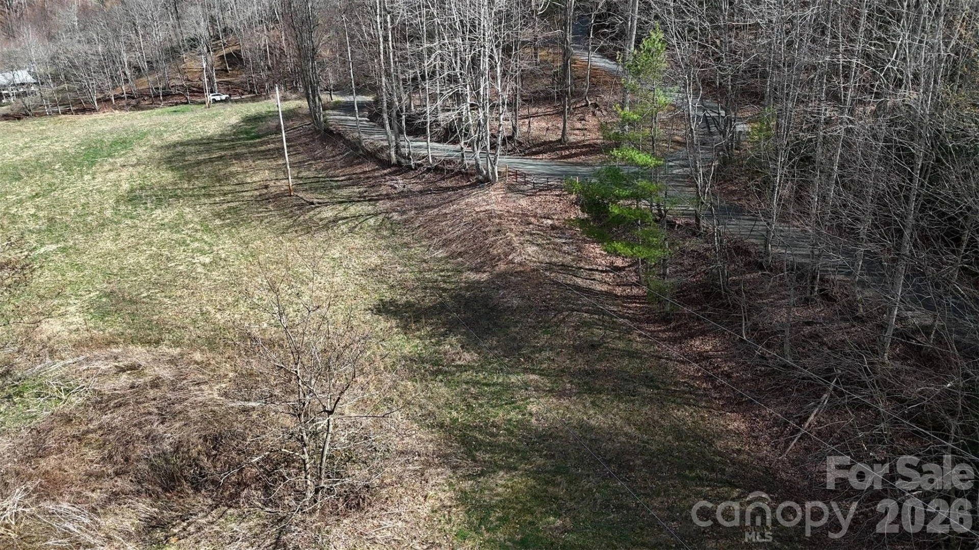 TBD Sugar Camp Road - Photo 12