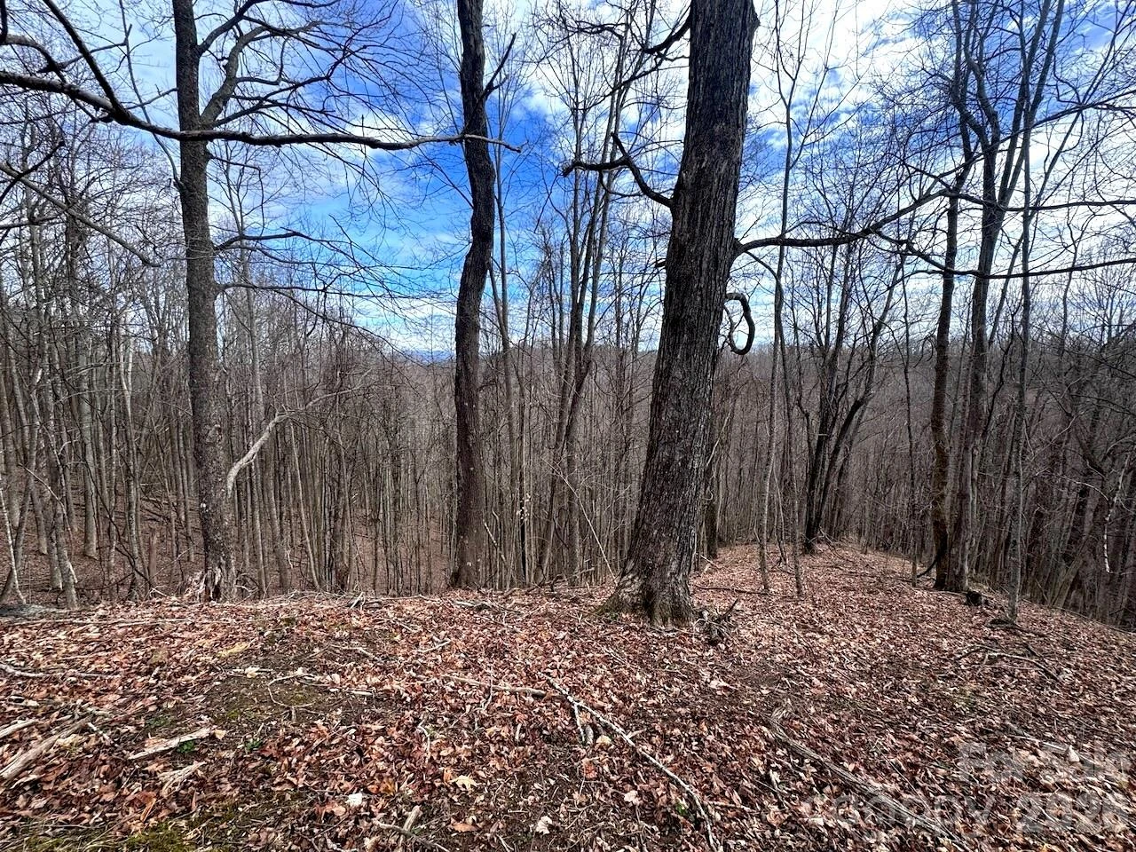 TBD Sugar Camp Road - Photo 21