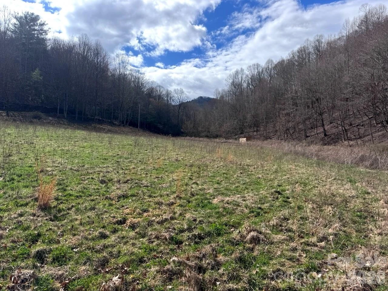 TBD Sugar Camp Road - Photo 30