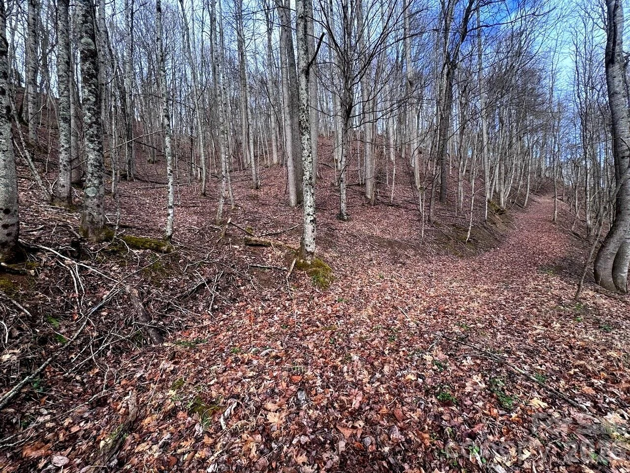 TBD Sugar Camp Road - Photo 32