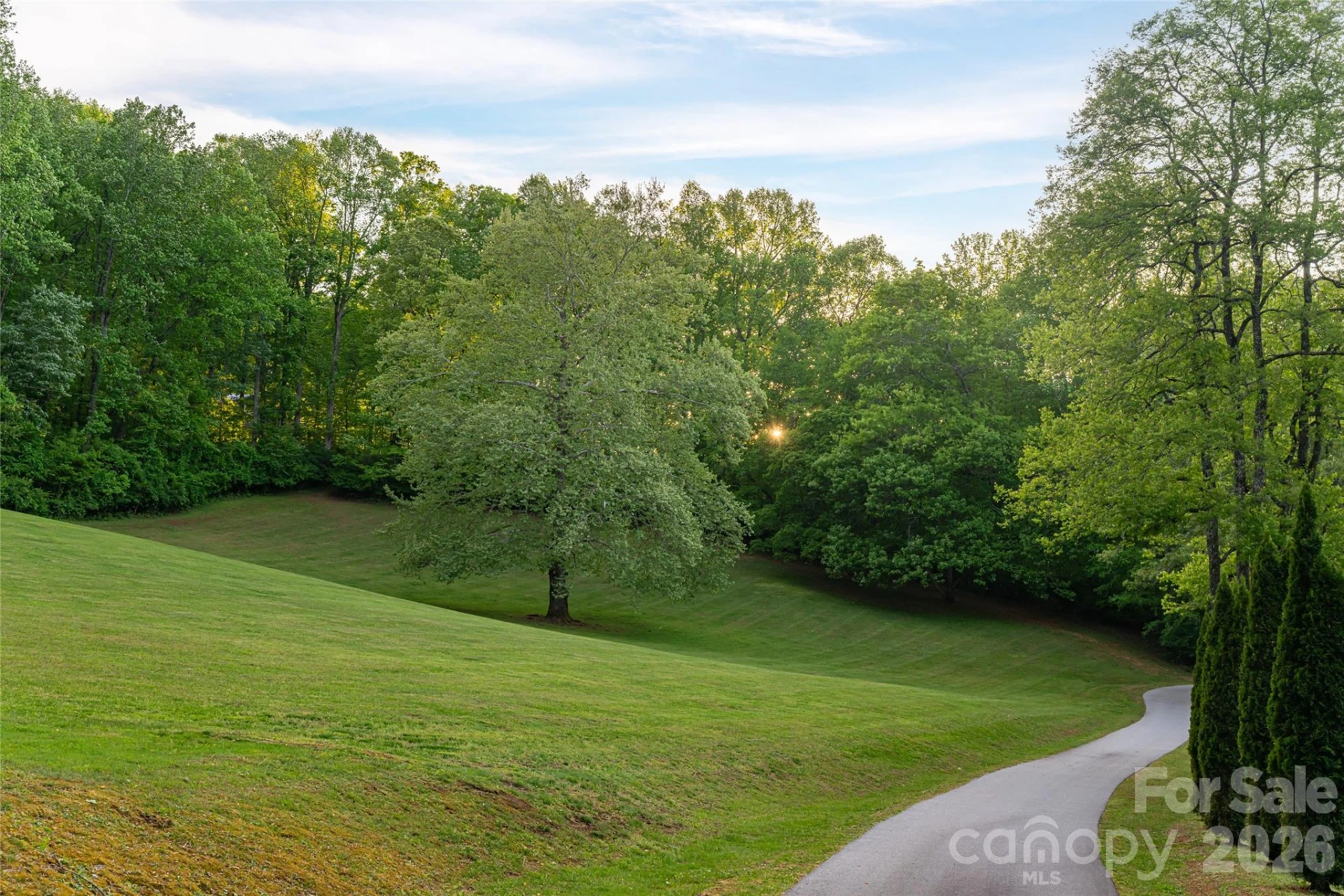 3903 Island Ford Road - Photo 7