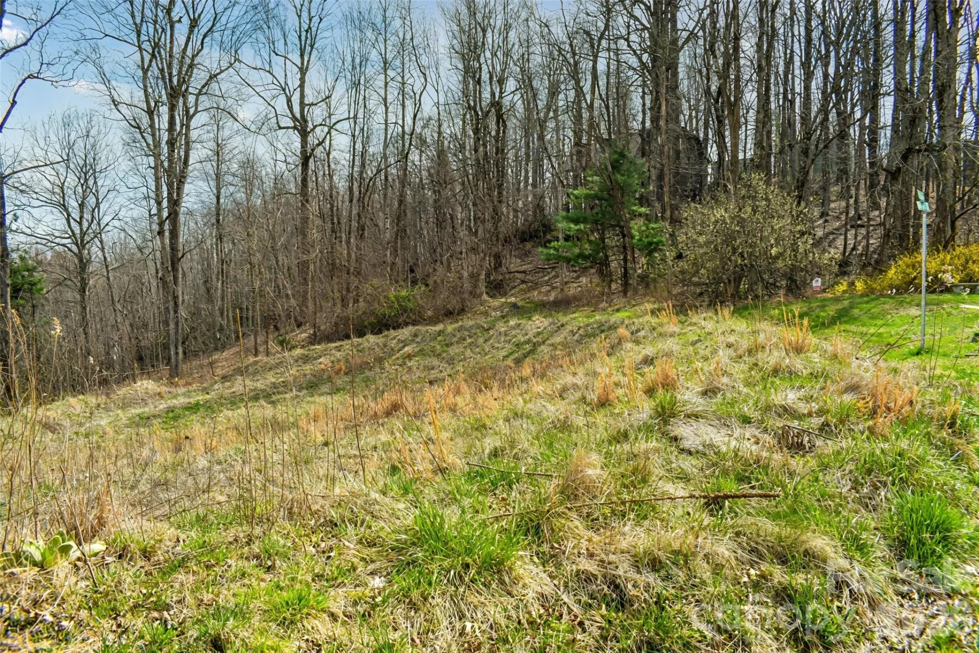 252 Pinewood Circle - Photo 8