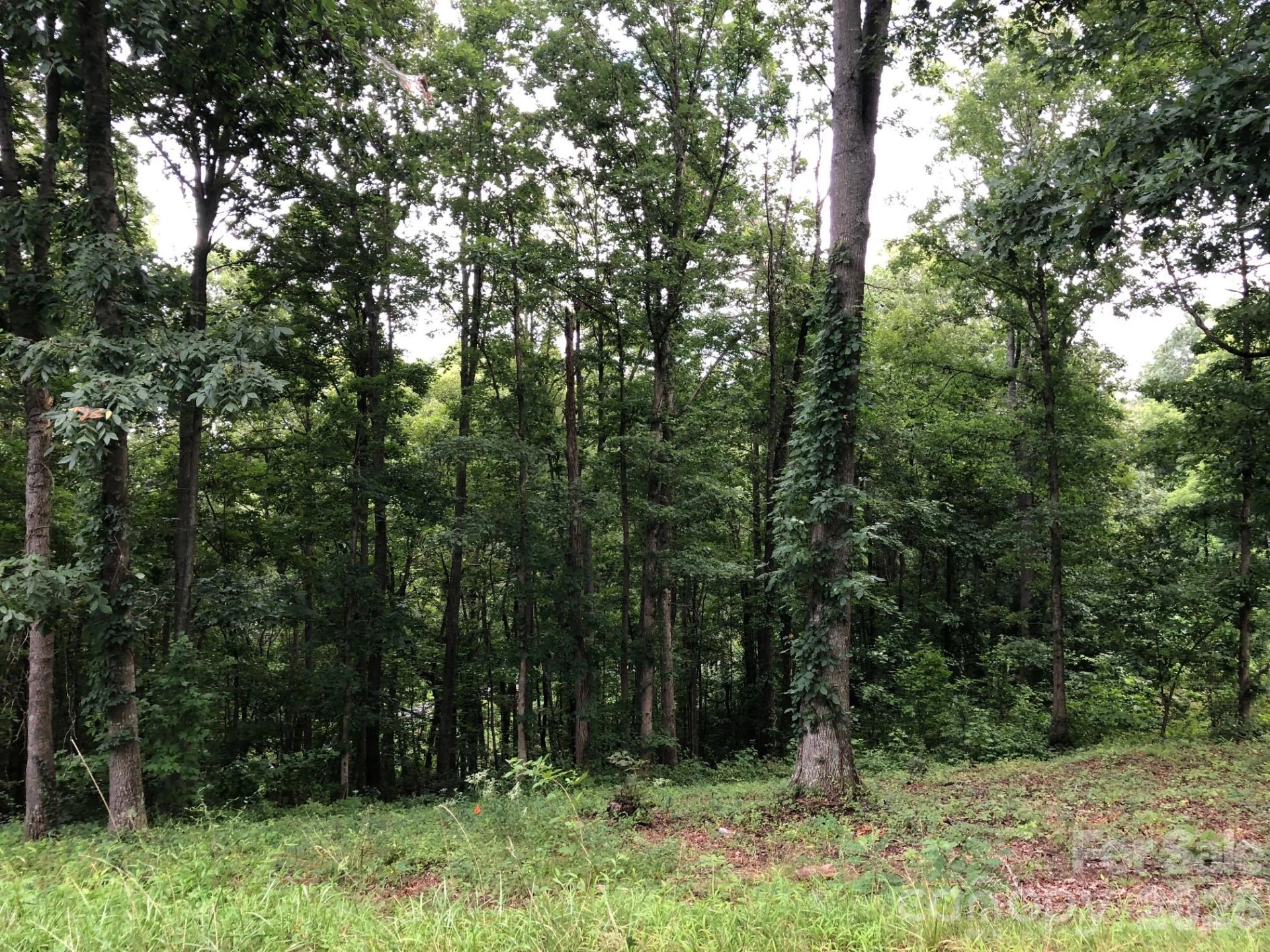 45 Sweet Fern Parkway #43
