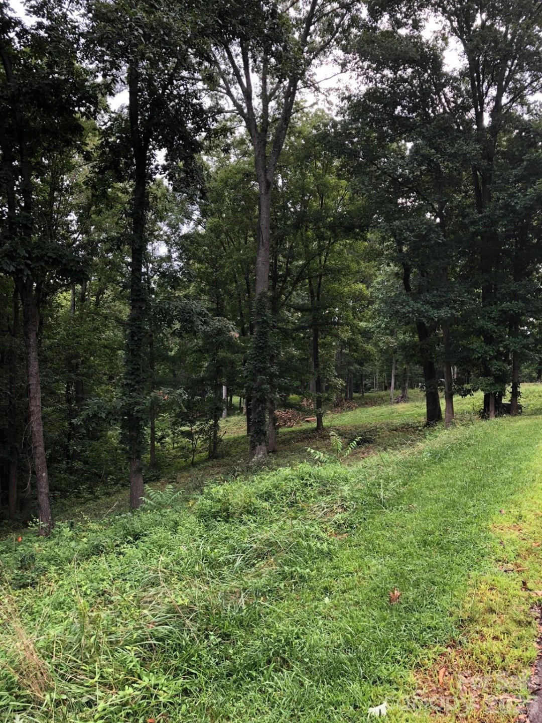 45 Sweet Fern Parkway #43 - Photo 4