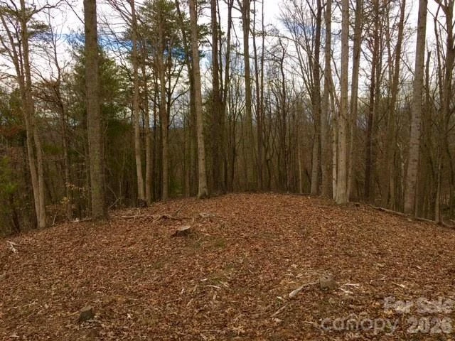 45 Sweet Fern Parkway #43 - Photo 7