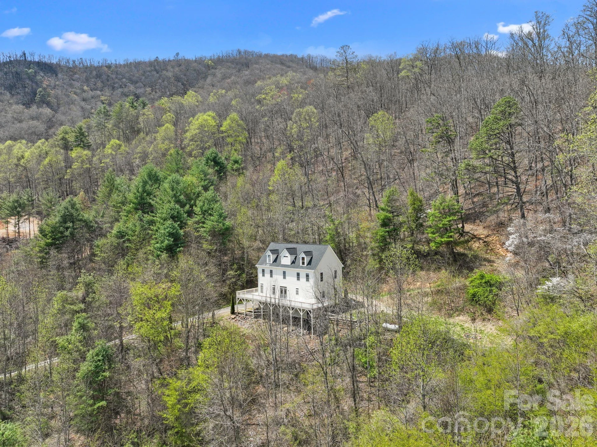 267 Eagles Trace - Photo 43