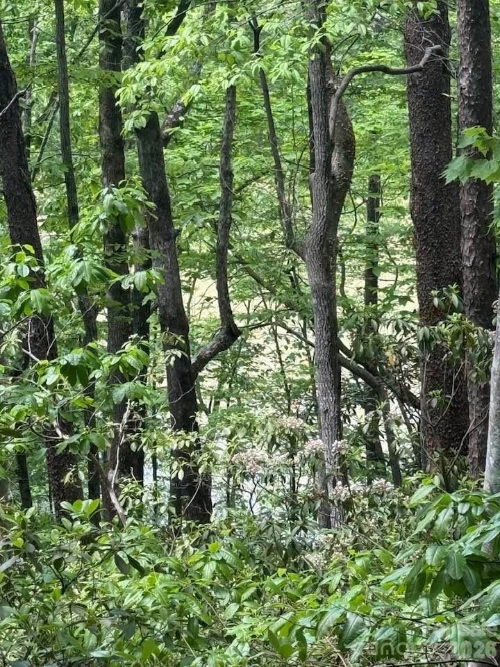 00 Canoe Drive #44 - Photo 17