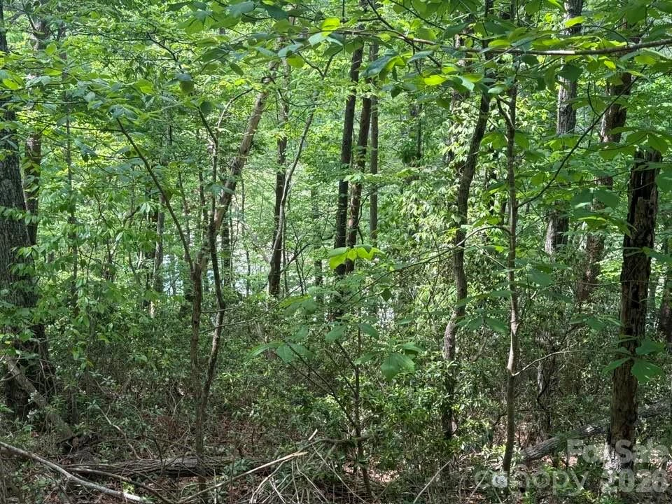 00 Canoe Drive #44 - Photo 22
