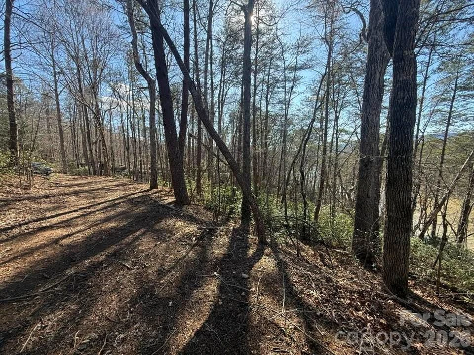 00 Canoe Drive #44 - Photo 27