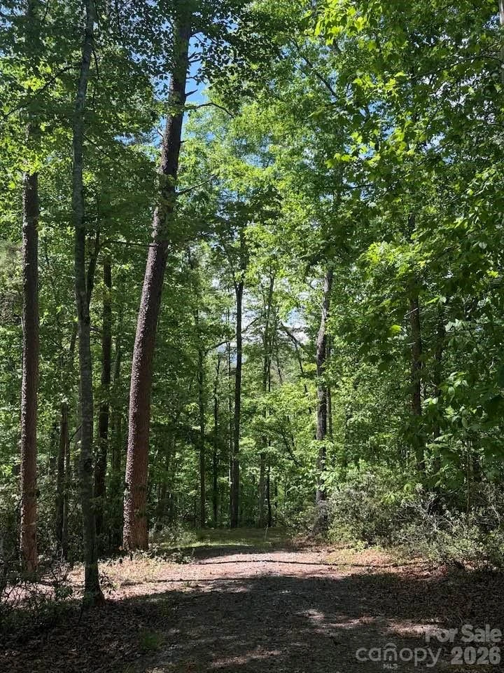 00 Canoe Drive #44 - Photo 28