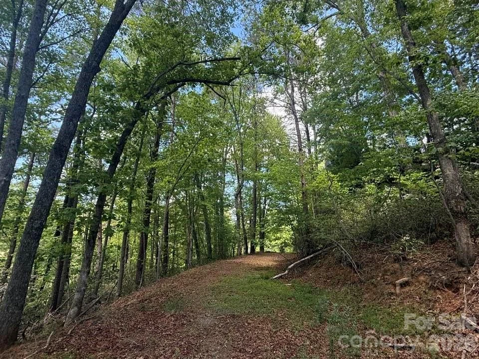 00 Canoe Drive #44 - Photo 31