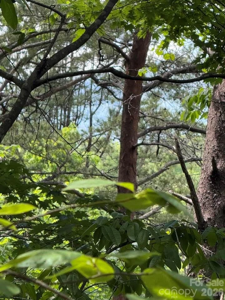 00 Canoe Drive #44 - Photo 35