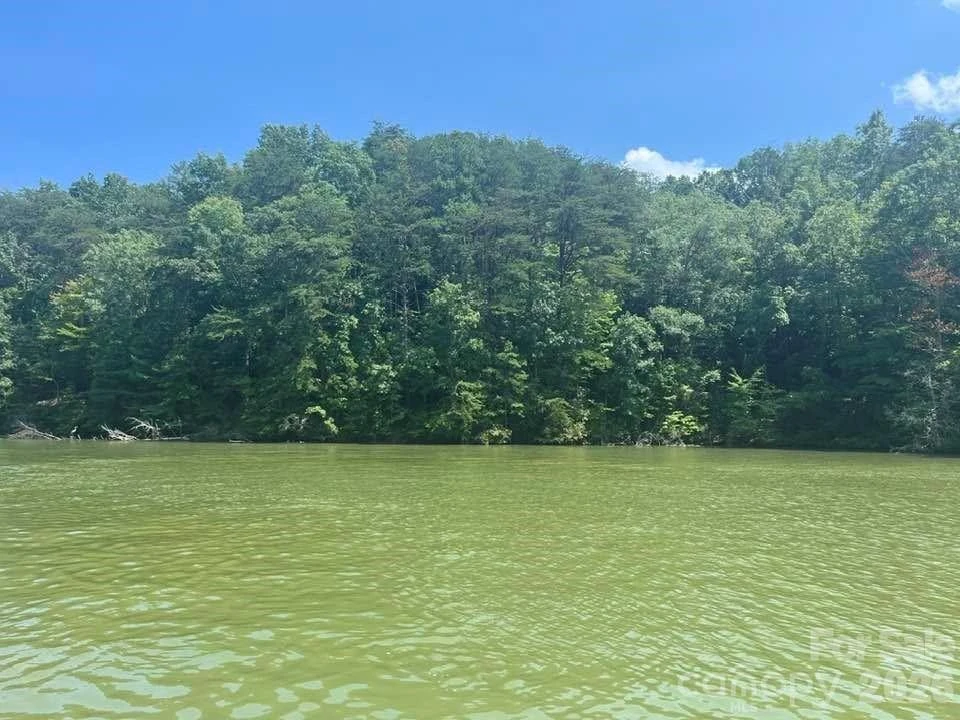00 Canoe Drive #44 - Photo 2