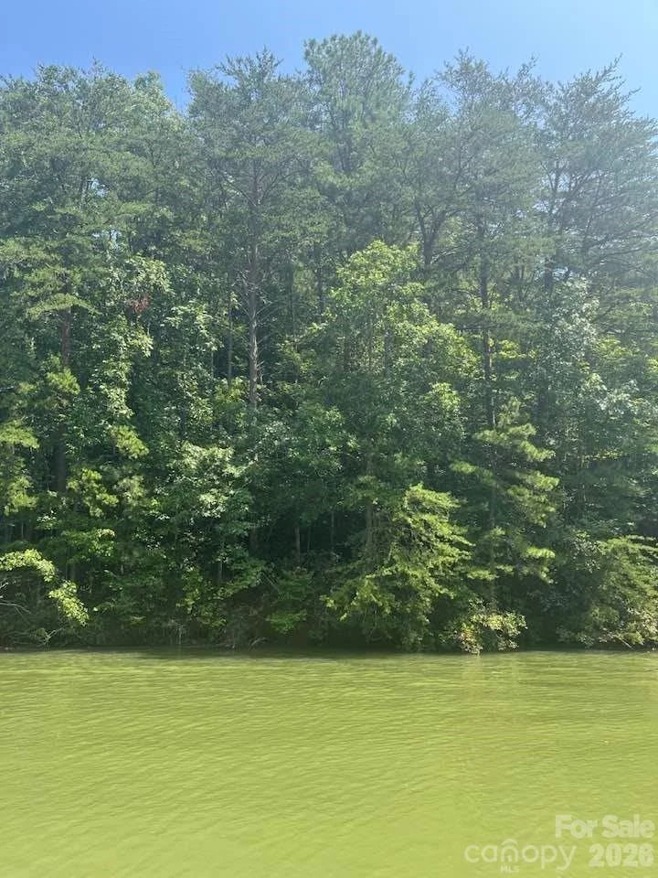 00 Canoe Drive #44 - Photo 6