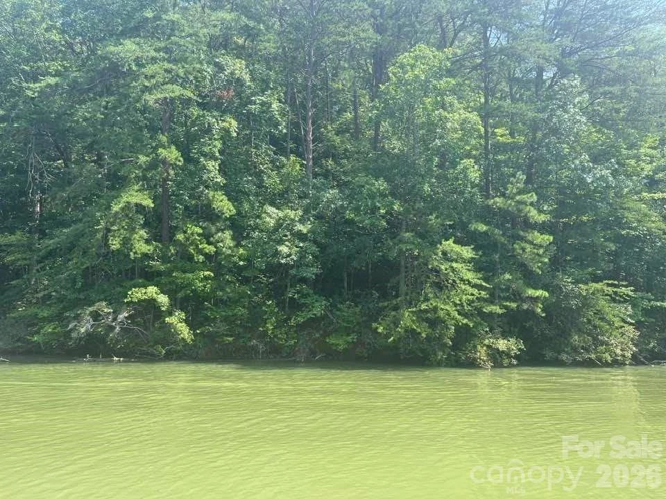 00 Canoe Drive #44 - Photo 37