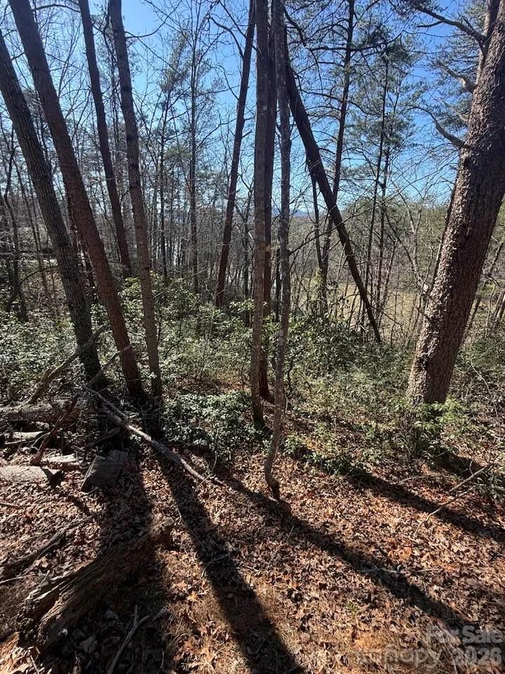 00 Canoe Drive #44 - Photo 12