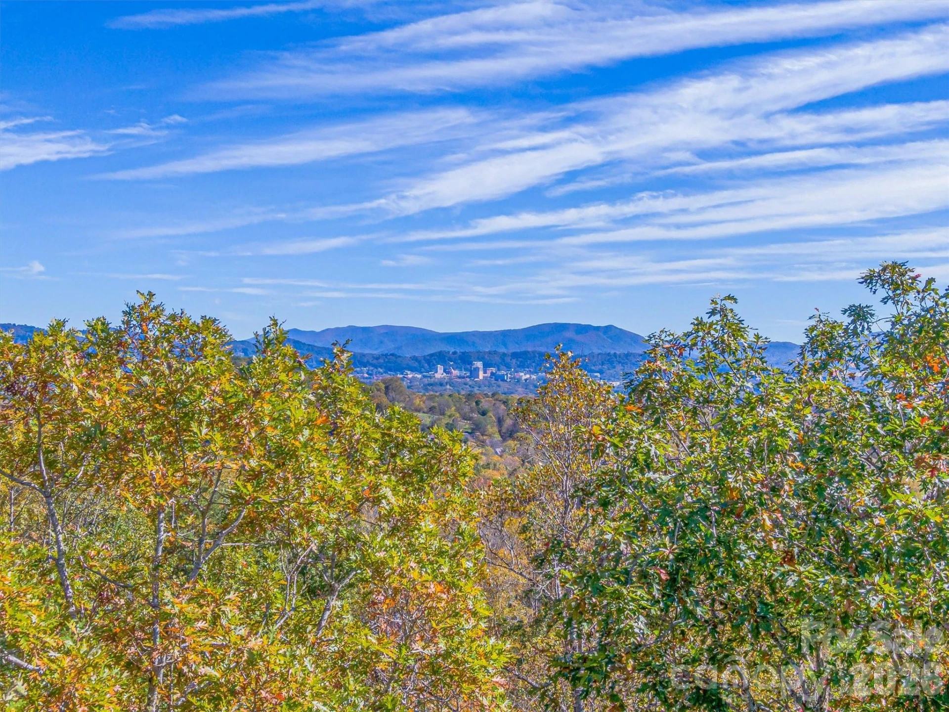 17 Denali Drive - Photo 16
