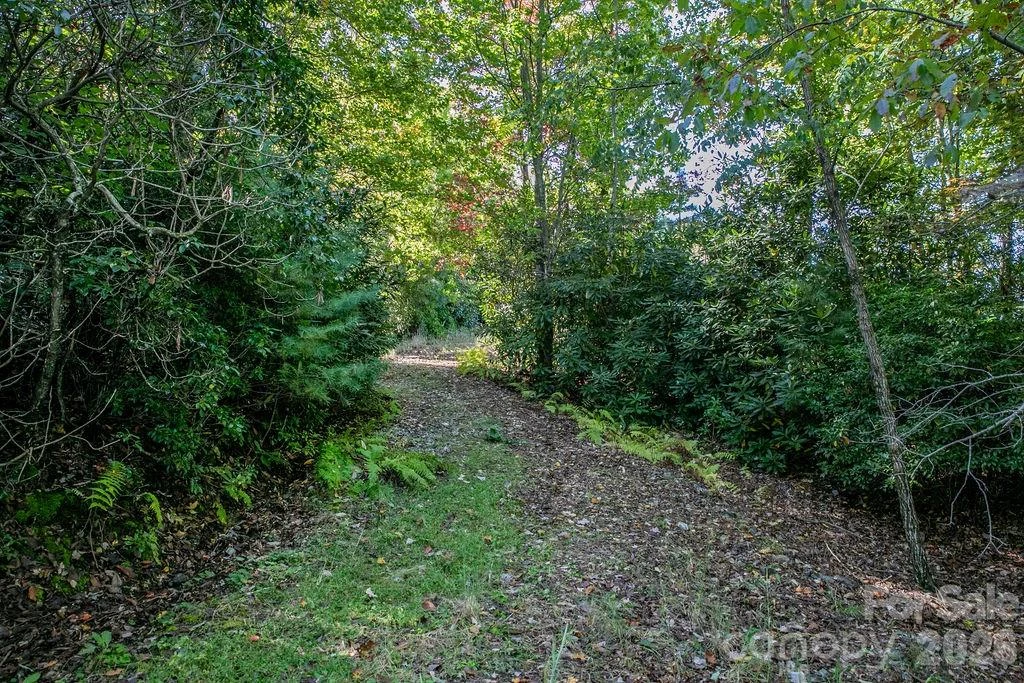 TBD Rock Face Road #L298 - Photo 12