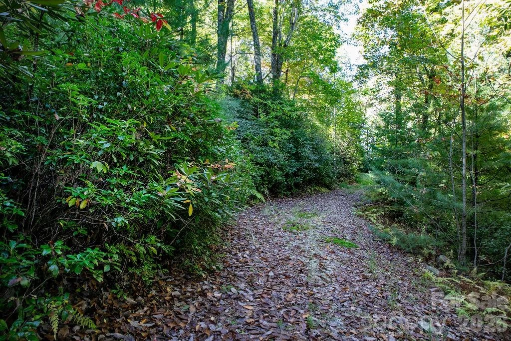 TBD Rock Face Road #L298 - Photo 6
