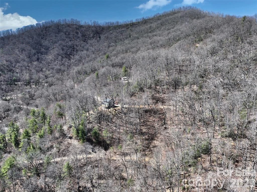 11 Taryn Trace #16 - Photo 2