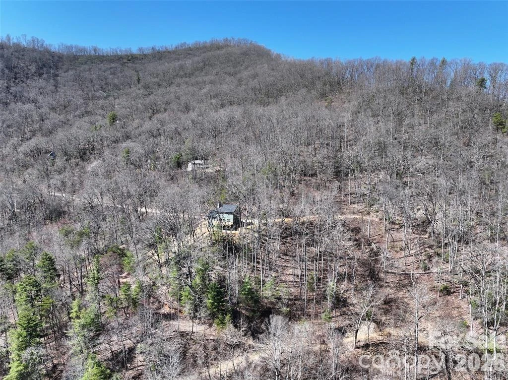 11 Taryn Trace #16 - Photo 3