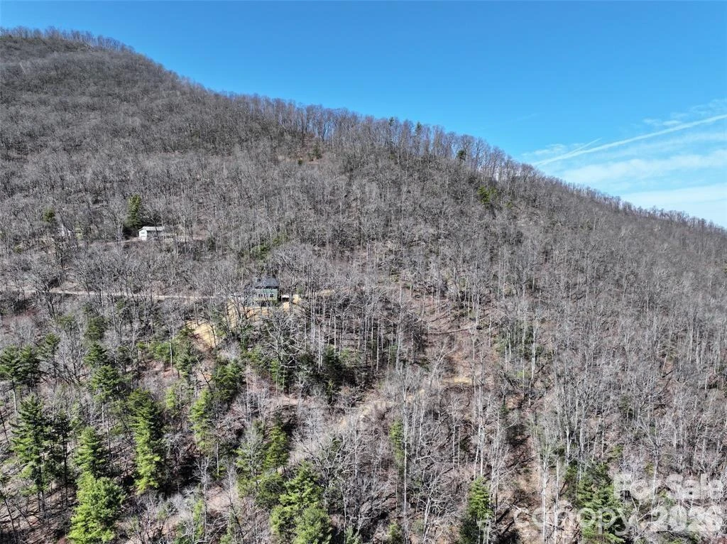 11 Taryn Trace #16 - Photo 4