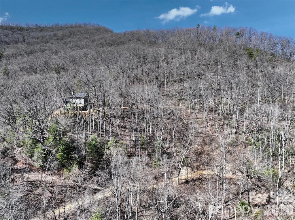 11 Taryn Trace #16 - Photo 5