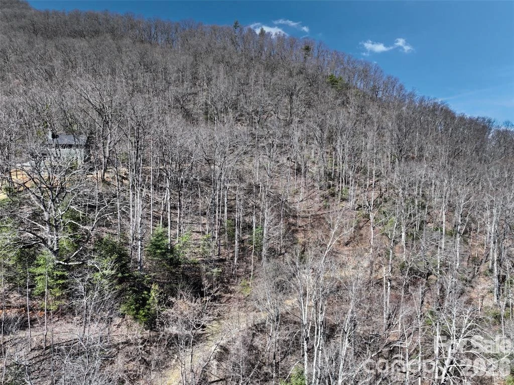 11 Taryn Trace #16 - Photo 6
