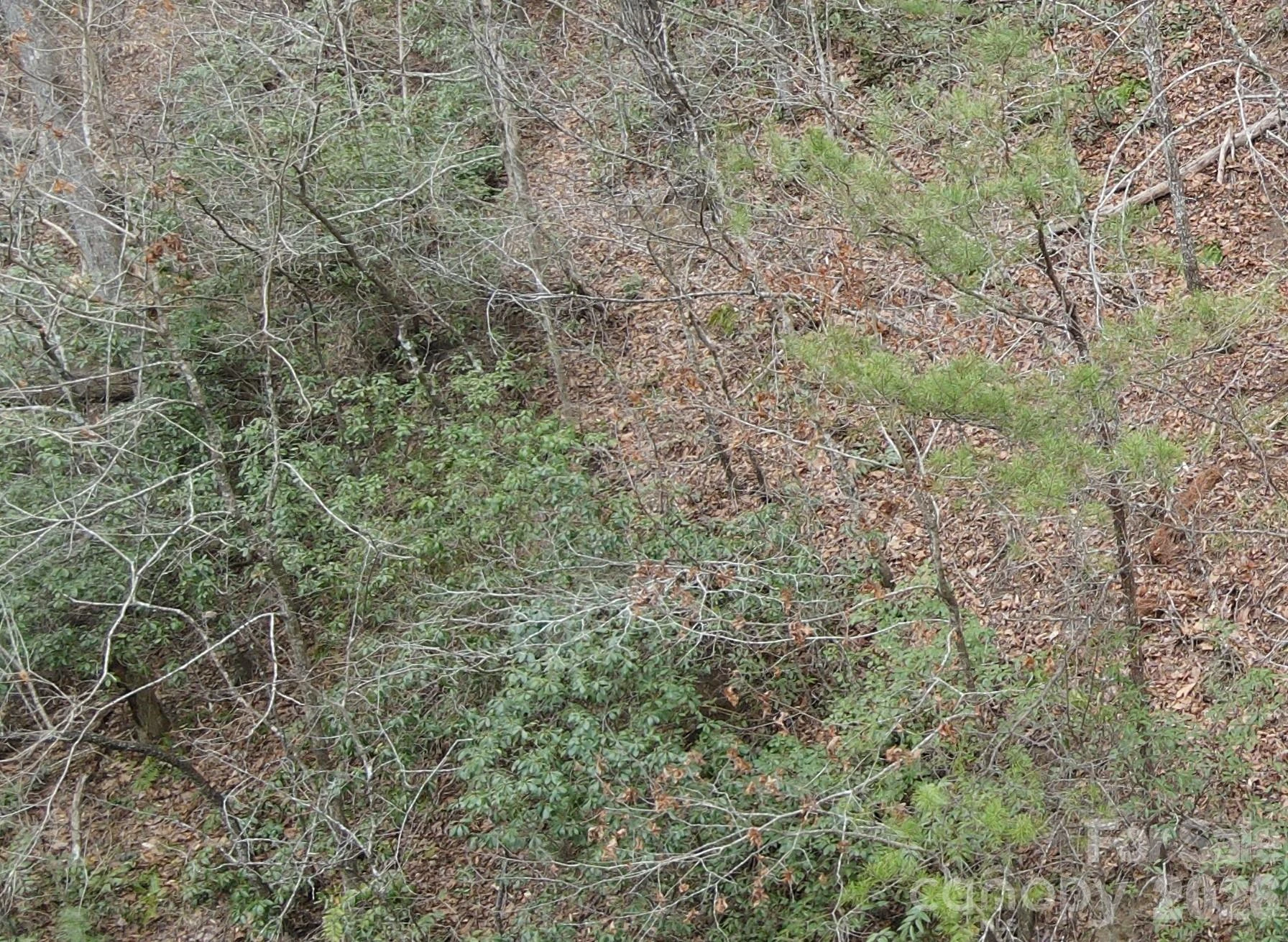 575 Shannons Walk - Photo 8