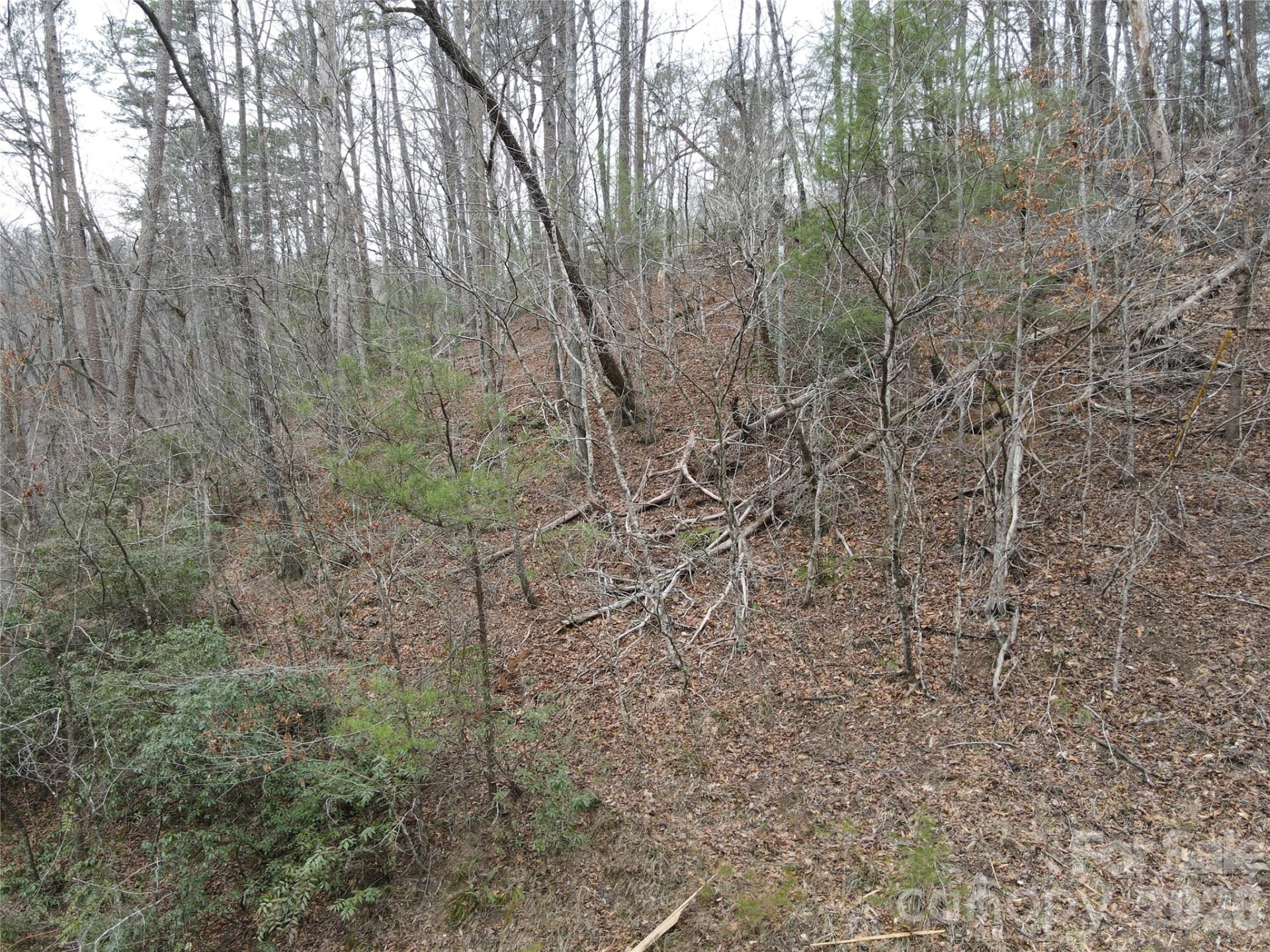 575 Shannons Walk - Photo 9