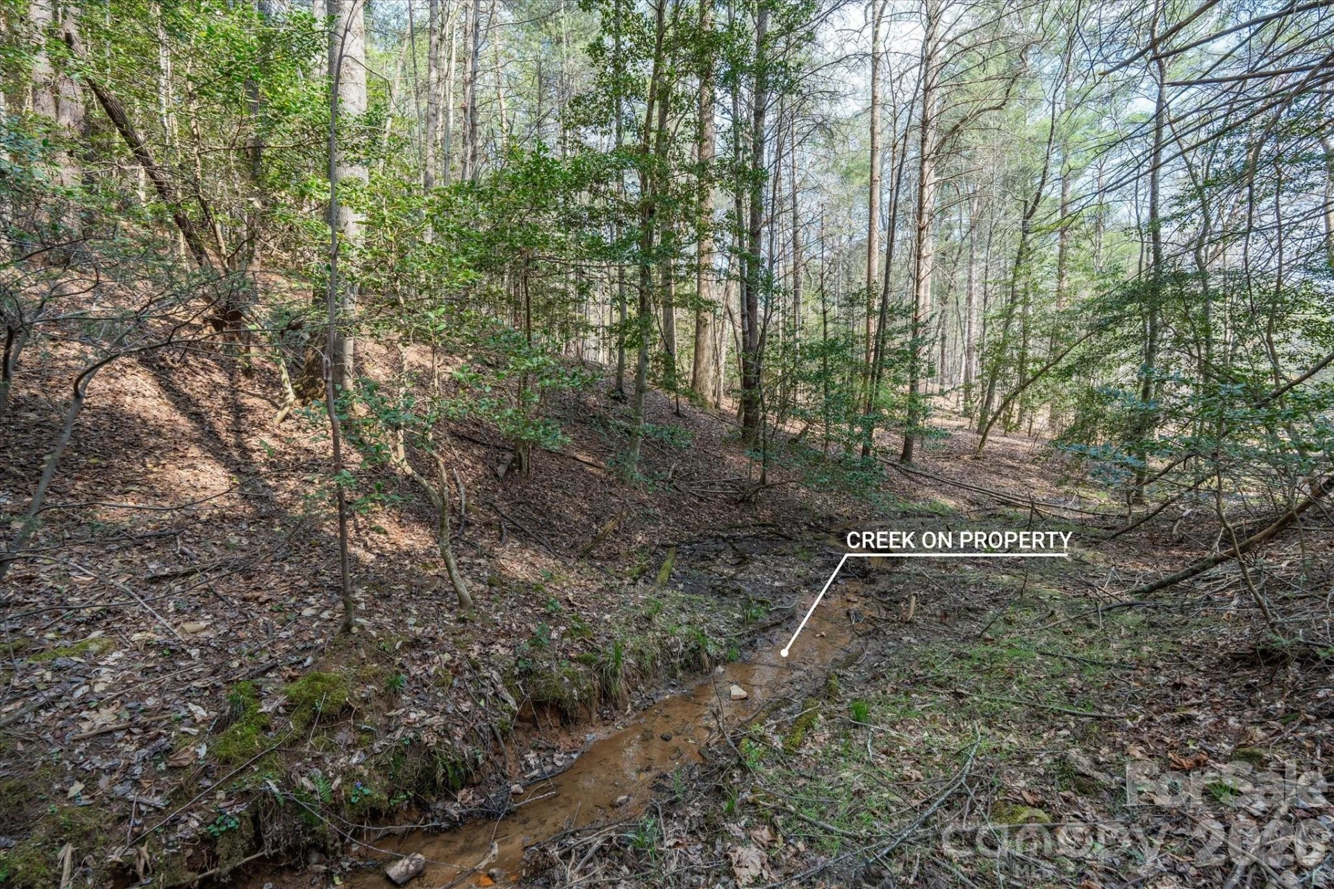 40 Turtle Head Drive - Photo 12