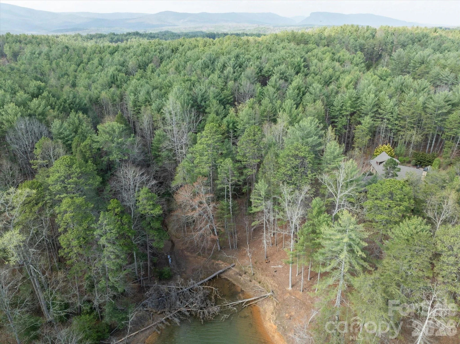 40 Turtle Head Drive - Photo 7