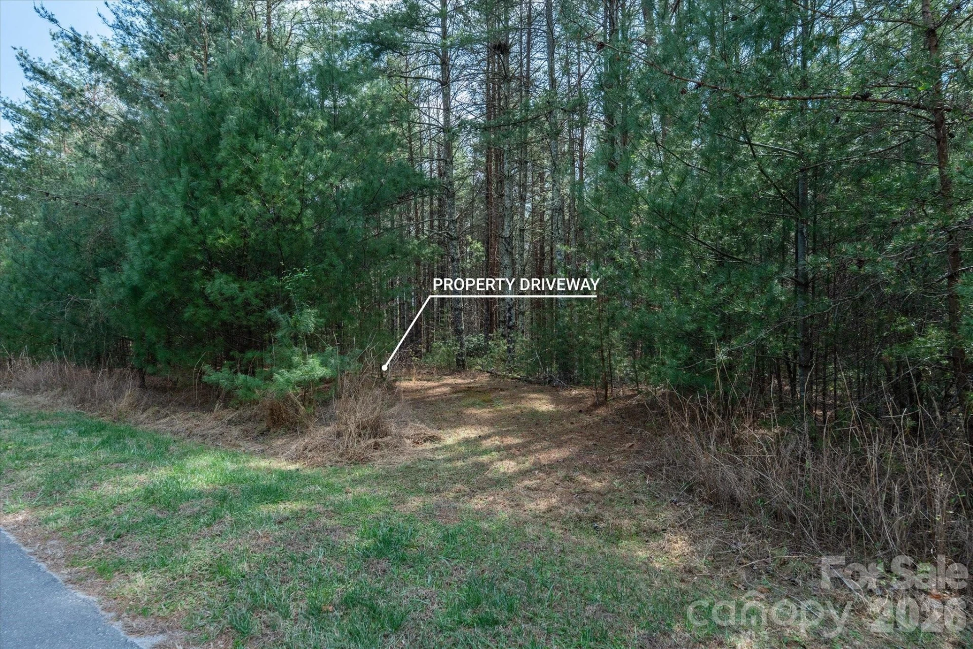 40 Turtle Head Drive - Photo 8