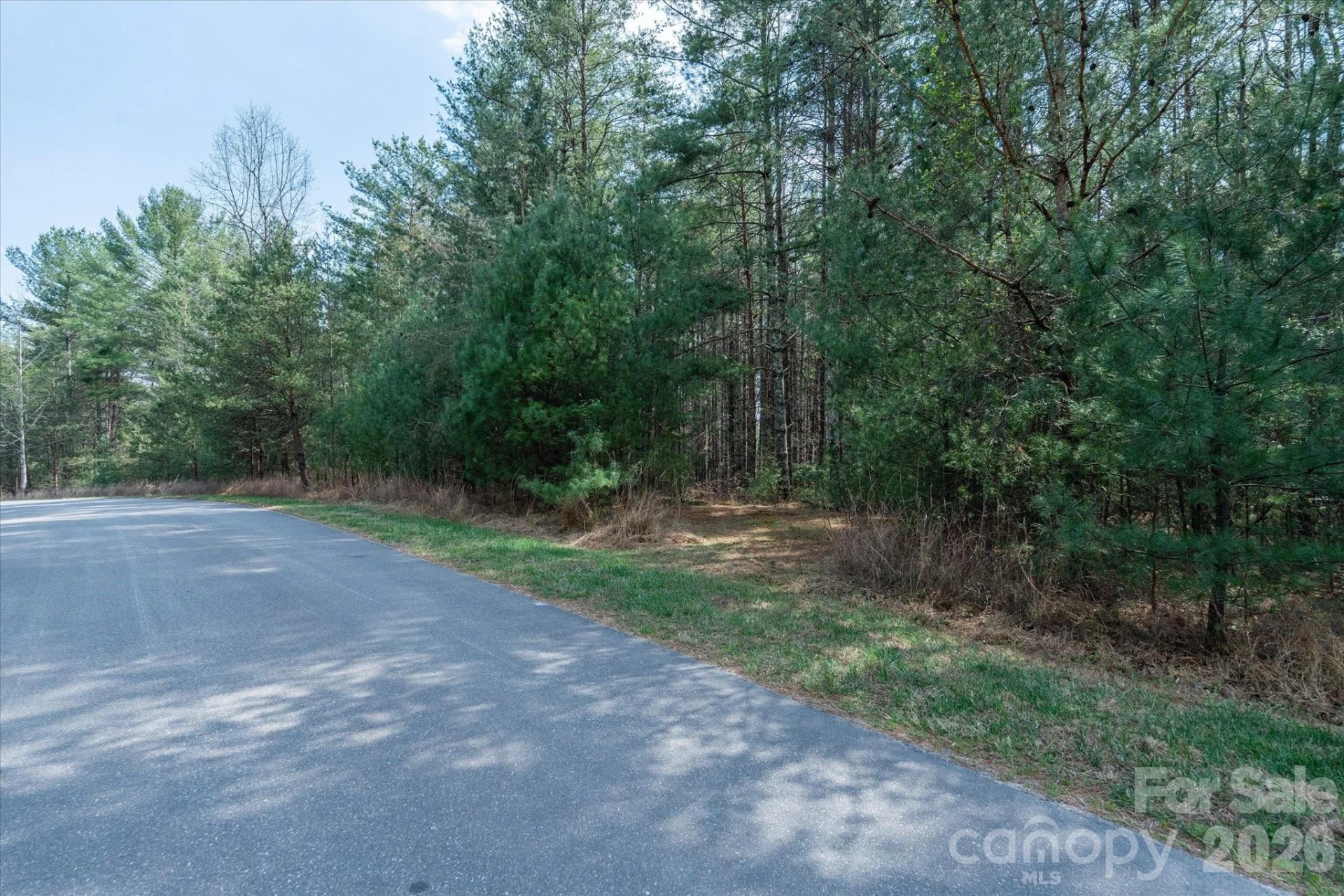 40 Turtle Head Drive - Photo 9