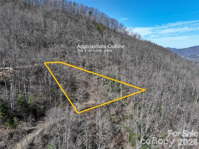 99999 Green Ridge Falls Road, Barnardsville, NC, 28709