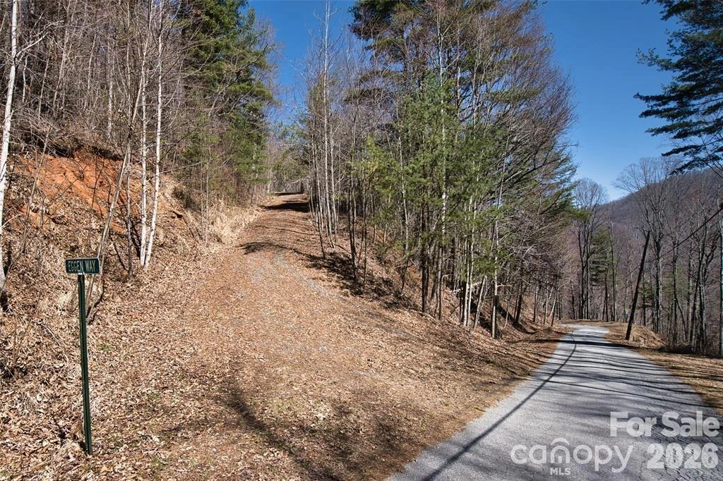 99999 Green Ridge Falls Road #17 - Photo 15