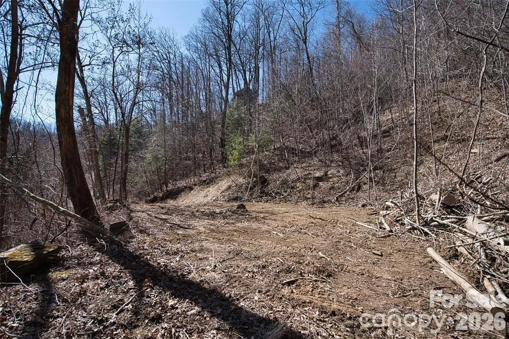 99999 Green Ridge Falls Road #17 - Photo 3