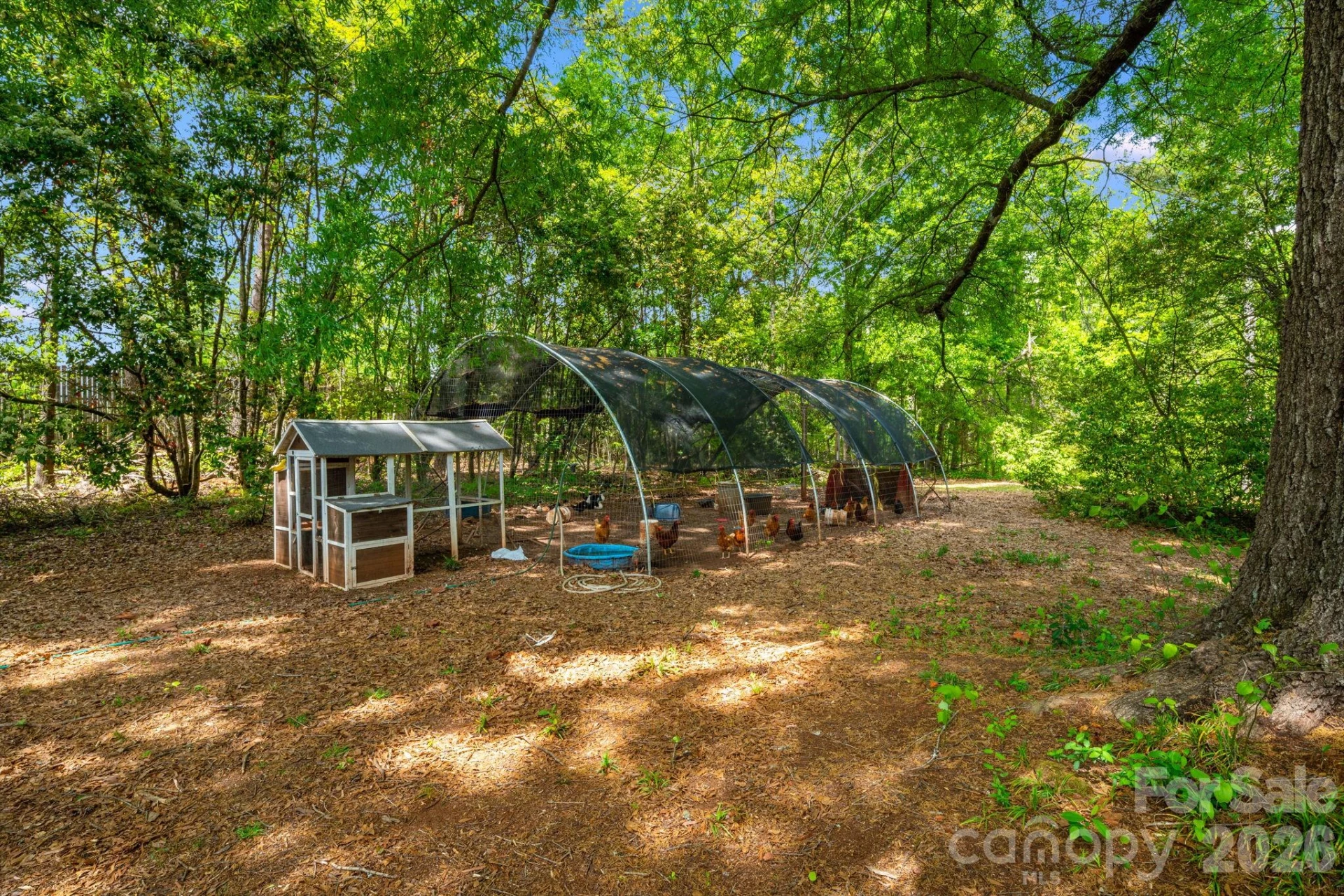 1737 Whitesides Road - Photo 31