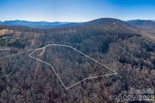 96 Castanea Mountain Drive