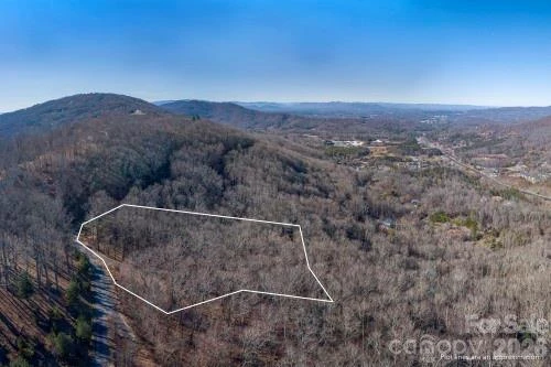 96 Castanea Mountain Drive - Photo 9