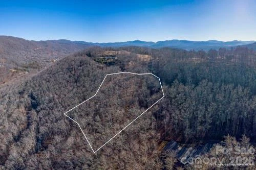 96 Castanea Mountain Drive - Photo 10