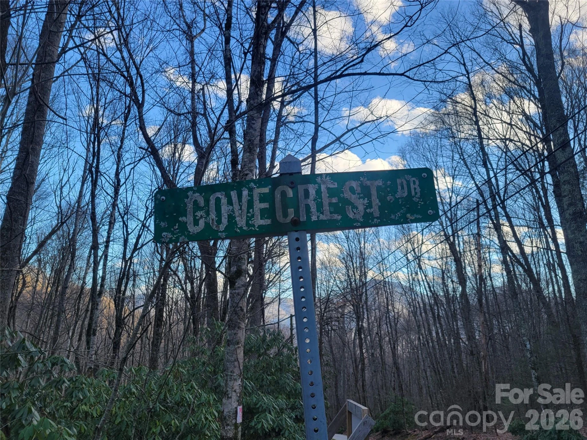 00 Covecrest Drive #1 - Photo 7