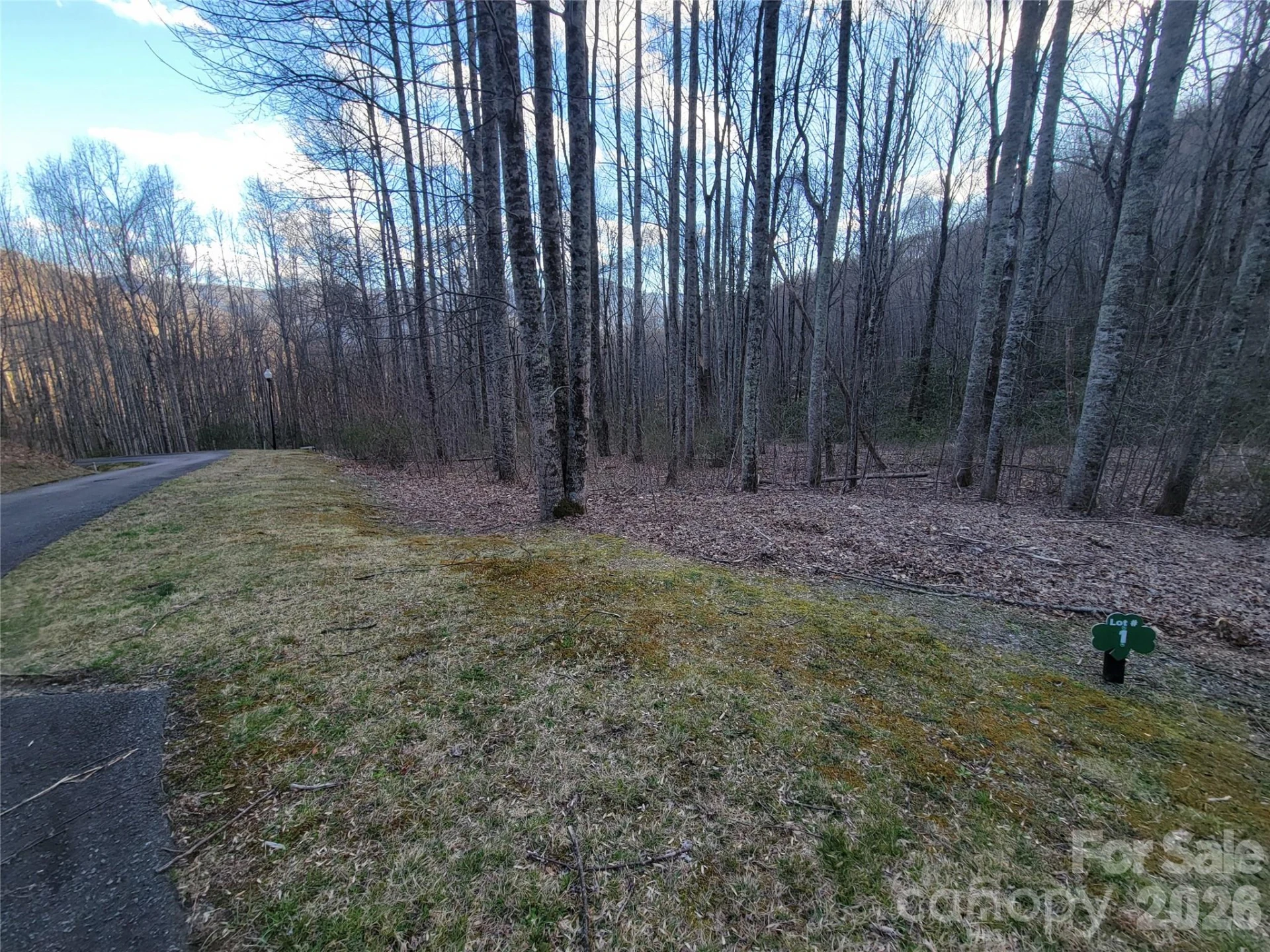 00 Covecrest Drive #1 - Photo 9