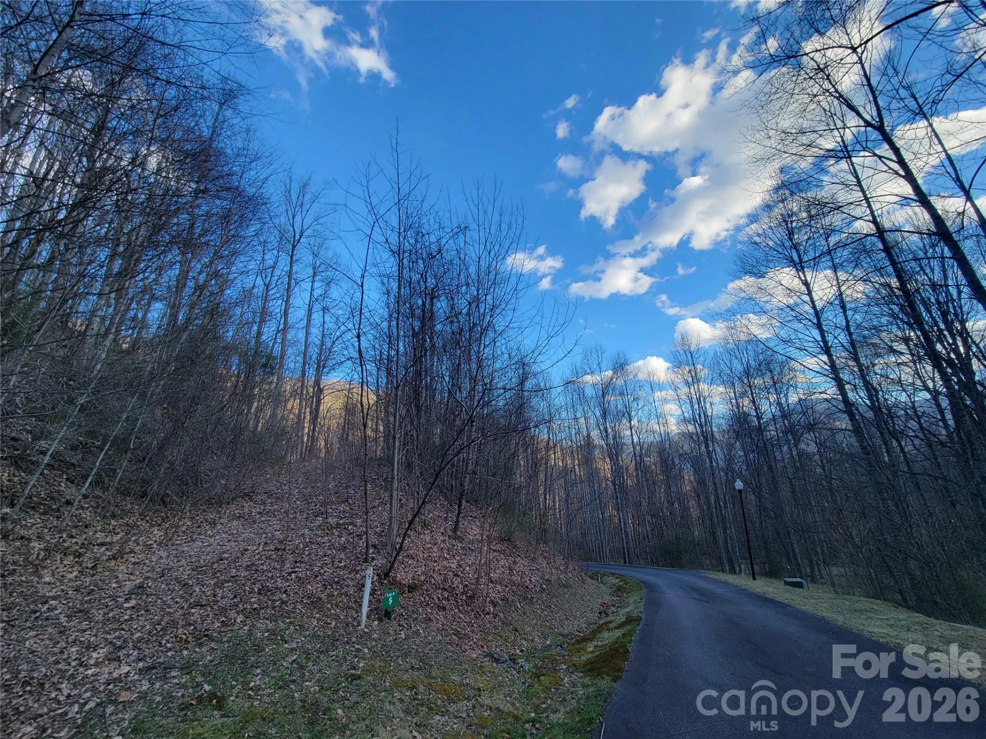 00 Rosewood Lane #5 - Photo 9